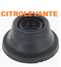 CAUCHOS
